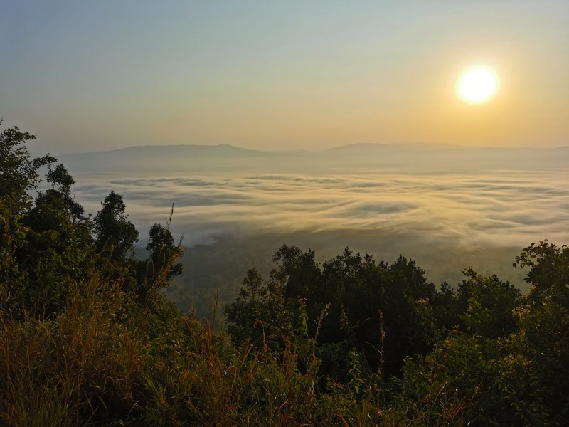 Mlžný opar v kráteru Ngorongoro /Tanzanie.