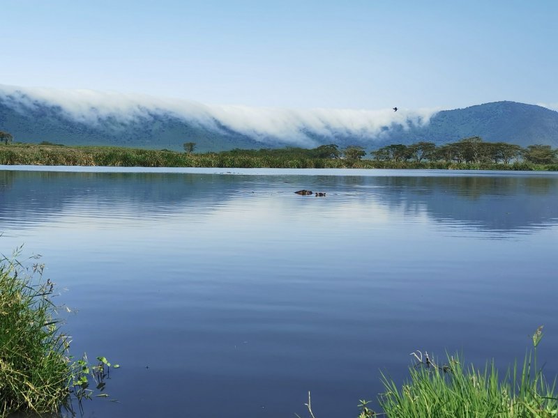 Jezero hrochů.