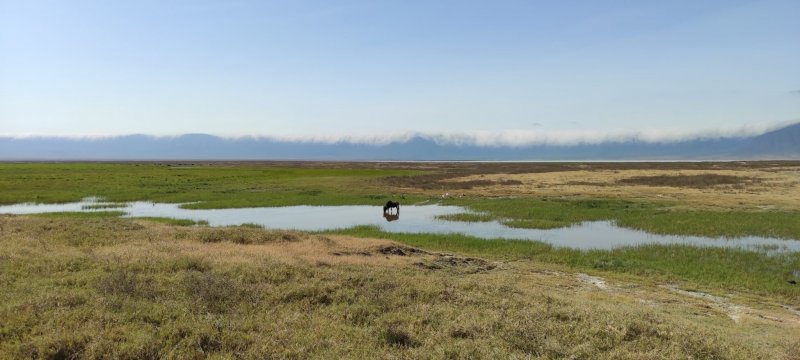 Ngorongoro.