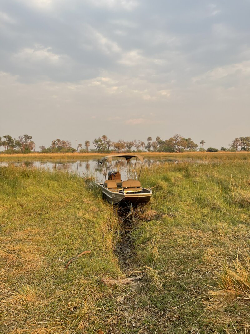 Výlet lodí po řece Okavango bude silným zážitkem.