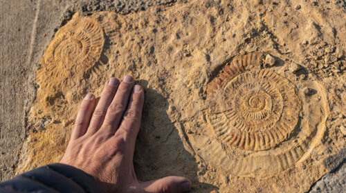 Tatra kolem světa 2 v Machu Picchu a Nazca